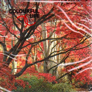 Luncheon Paper Napkin Autumn - Red Tree